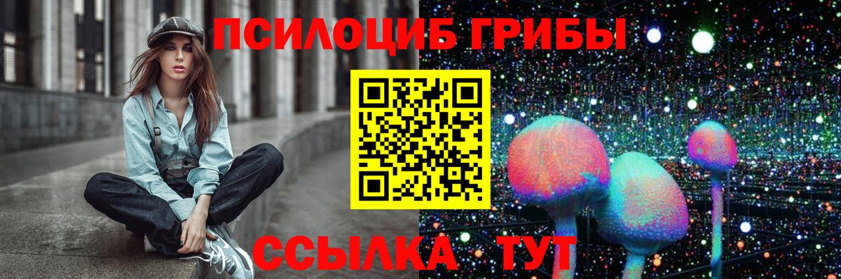 Галлюциногенные грибы Psilocybine cubensis Северобайкальск