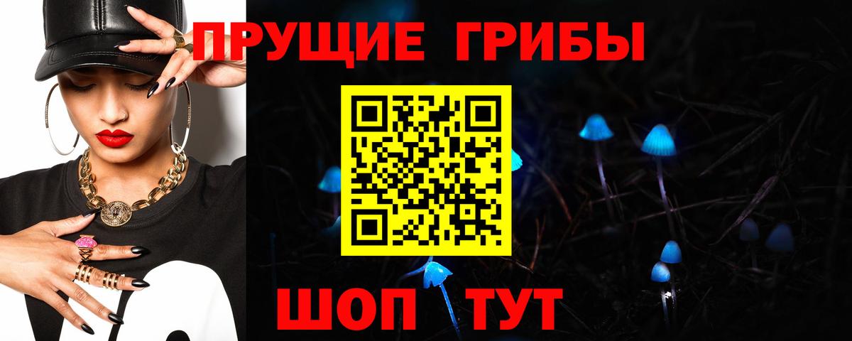 Галлюциногенные грибы Psilocybe  Вход с VPN  Северобайкальск 